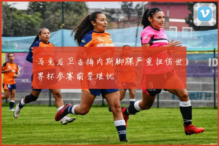 马竞后卫吉梅内斯脚踝严重扭伤世界杯参赛前景堪忧